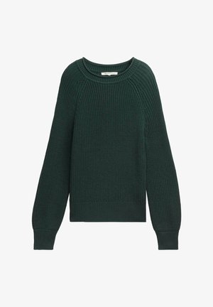 Zaļa adīta džemperis ar apaļu kaklu, raglanu piedurknēm, teksturētu audumu, ribotām piedurknēm un apakšmalu. Iezīmē brīvu piegriezumu.