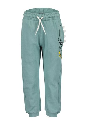 JOGGING - Pantaloni sportivi - gletscher