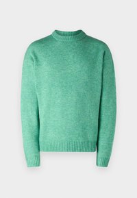 JOROLLIE CREW NECK - Pulover - holly green