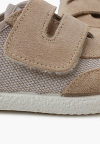 Pisamonas Trainers - arena