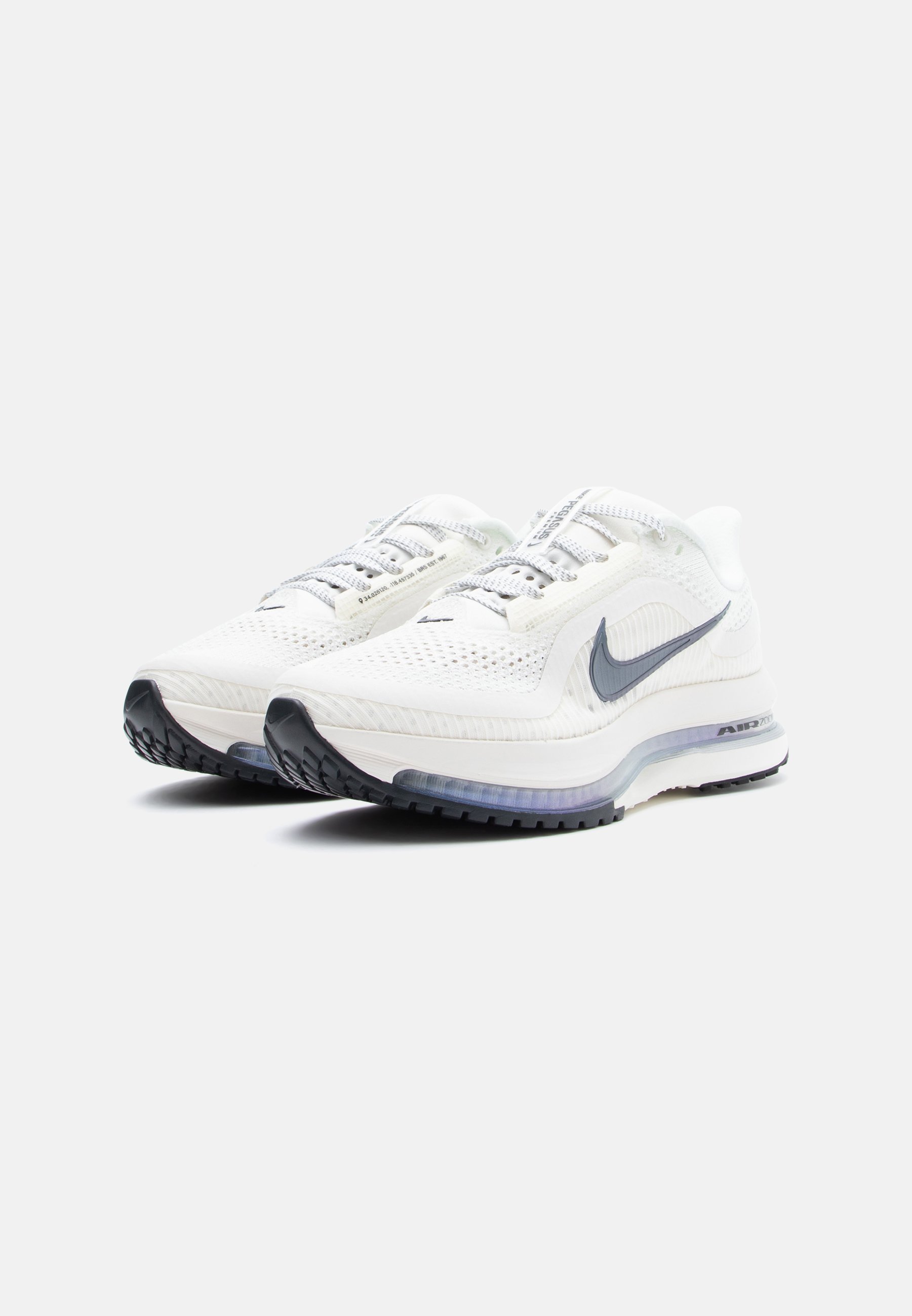 pegasus all out nike