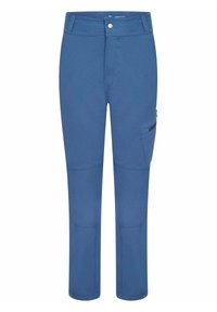 Dare 2B REPRISE WANDER - Stoffhose - blue