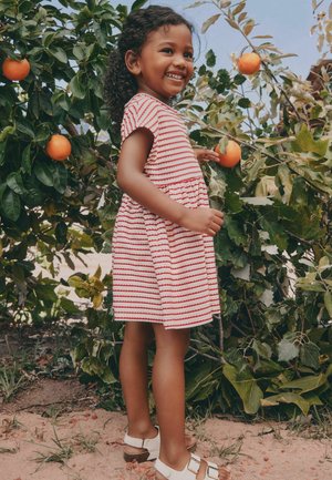 Smiling girl in a red-striped dress picks an orange from a lush citrus tree in a sunny outdoor garden.