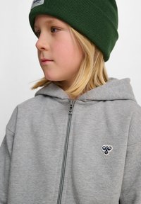 Grå zip-up hoodie med huva, med en liten broderad patch och dragkedjedetalj; bärs med en grön stickad beanie.