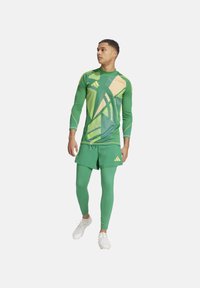 Completo sportivo verde composto da una maglietta a maniche lunghe con motivo e pantaloni corti coordinati. Realizzato in materiale elasticizzato, presenta linee e forme dinamiche.