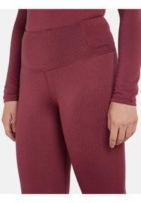 icebreaker 260 TECH HIGH RISE  - Tights - port