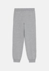 TROUSERS JOGGING DINO - Trainingsbroek - grey