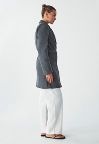WILLA BOISE BELTED - Īss mētelis - charcoal