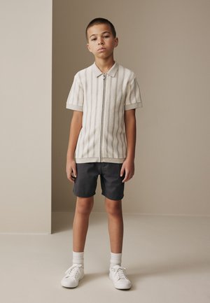 Next, REGULAR FIT - STRIPE - Shirt - grey white