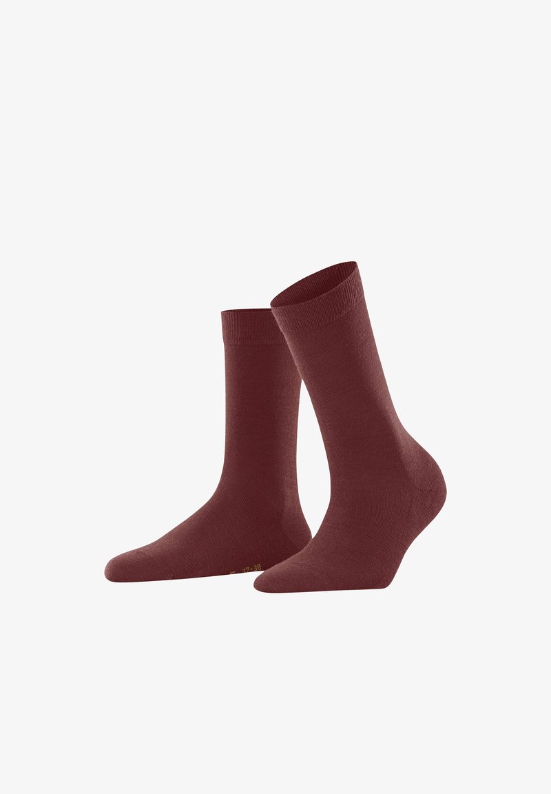 Ein Paar schlichte dunkelrote Socken steht aufrecht auf einem weißen Hintergrund.