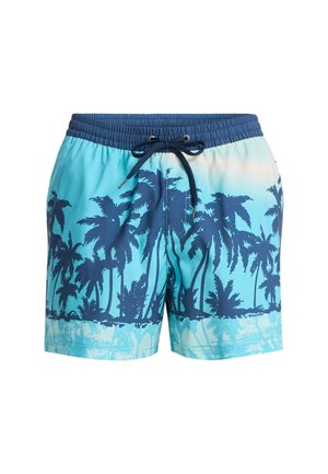 Quiksilver, EVERYDAY PRINTED VOLLEY 15 - Badeshorts - blue