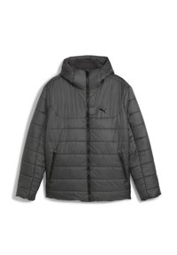 ESSENTIALS WATTIERTE KAPUZEN - Winter jacket - dusky gray