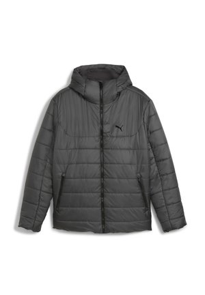 ESSENTIALS WATTIERTE KAPUZEN - Winterjacke - dusky gray