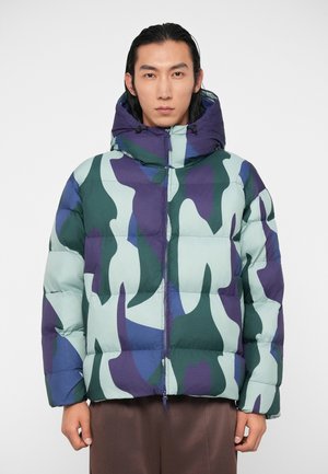 EA7 Emporio Armani MOUNTAIN ECO HOODED JACKET GRAPHIC - Jachetă de iarnă - fancy green