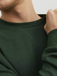 Jack & Jones UNISEX - Sweatshirt - mountain view