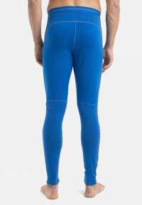 icebreaker MERINO 200 MID WEIGHT ZONEKNIT - Kalesony