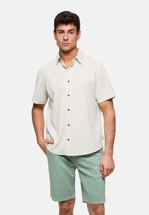 Hombre con camisa beige de rayas verticales y mangas cortas abotonada, y pantalones cortos verdes, de pie con una mano en el bolsillo contra un fondo liso.