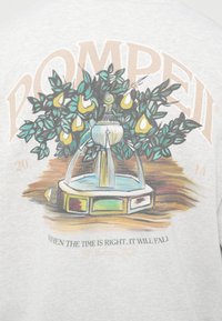 Šedé tričko s ilustrací fontány obklopené zelení a žlutými hruškami. Text obsahuje nápis „Pompeii“ a větu pod ním.