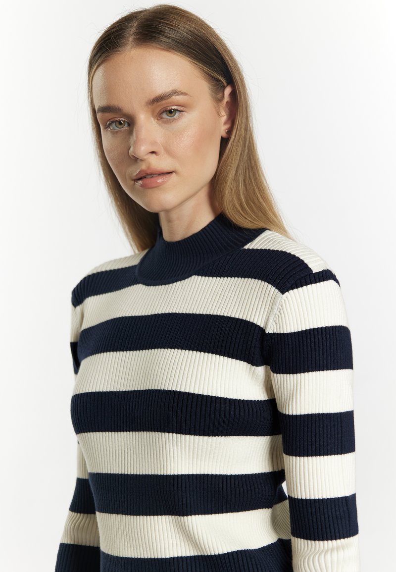 Navy- und weiß gestreifter Strickpullover mit hohem Kragen, gerippter Textur und taillierter Silhouette, die kontrastierende horizontale Streifen präsentiert.