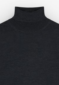 Scalpers CLASSIC ROLL NECK - Trui - dark grey