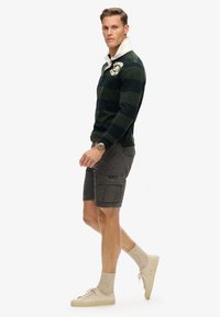 Polo à rayures bleu marine et vert à manches longues avec un col blanc, associé à un short cargo gris et des baskets beiges avec des chaussettes à motifs.