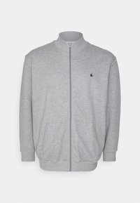 EPAULOS - Majica s kapuljačom i patentnim zatvaračem - light grey