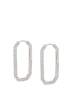 Earrings - silver coloured