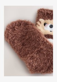 Non selezionato, hedgehog