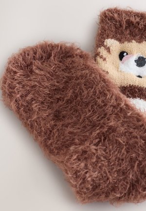 Next Zoknik - hedgehog