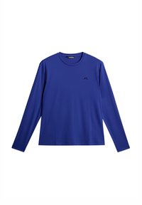 Ej vald, clematis blue