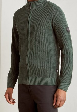 Mand iført mørkegrøn strikket zip-up sweater med ribbet krave, manchetter og kant, kombineret med mørke bukser, foran en neutral baggrund.