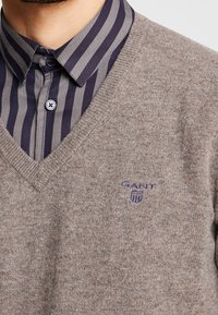 Hellbrauner Pullover mit V-Ausschnitt, aus weichem Material gefertigt. Hat ein blaues Logo auf der linken Brust und wird über einem gestreiften Hemd getragen.