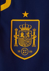 Žuta kruna na tamnoplavoj pozadini sadrži krunu, štit s simbolima, dva stuba i zvijezdu iznad. Tekst uključuje "PLVS ULTRA" i "RF EF 1909."