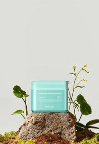 Boîte turquoise du tampon Madecassoside Blemish sur un rocher entouré de plantes vertes et de mousse.
