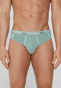 Tezenis CHRISTMAS - Kalhotky - grün y verde argilla bianco