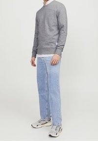 Felpa grigia con scollo rotondo, abbinata a una camicia a righe sotto. Jeans azzurri a gamba dritta e scarpe da ginnastica grigie.