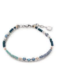 Leonardo Bracciale - blau