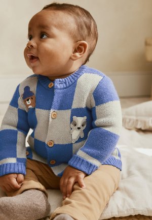 Next, REGULAR FIT - Gilet - blue checkerboard embroidered character