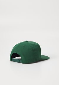 Green baseball cap with a flat brim, made of textured fabric. Features a plastic adjustable strap at the back and a stitched top button.