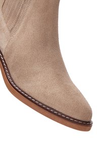 Bottes de cheville en velours beige avec un bout-pointu, des détails brodés et une semelle lisse brun clair, mettant en valeur une silhouette élégante et ajustée.