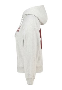 Gray hoodie with a red design on the front, featuring a drawstring hood and ribbed cuffs. Made from soft, textured fabric.