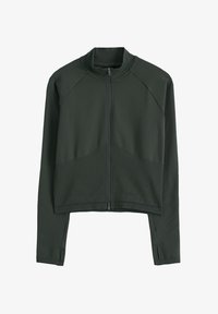 Non sélectionné, ivy