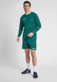 Grøn langærmet træningsskjorte kombineret med grønne shorts, der har hvide kanter og sorte chevron-detaljer. Bæres med hvide sokker og blå sko.