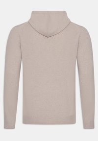 Beiger Kapuzenpullover mit langen Ärmeln, weicher Textur, minimalistischem Design und ohne sichtbare Muster oder metallische Details. Einfacher Blick auf die Rückseite.