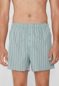 Boxer-culotte rayé vert clair avec une ceinture élastique, deux boutons à l'avant et une texture lisse semblable au coton.
