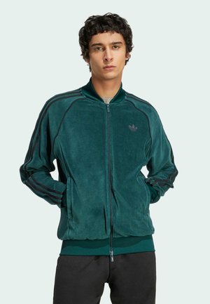 TRACK - Blouson Bomber - aurora ivy