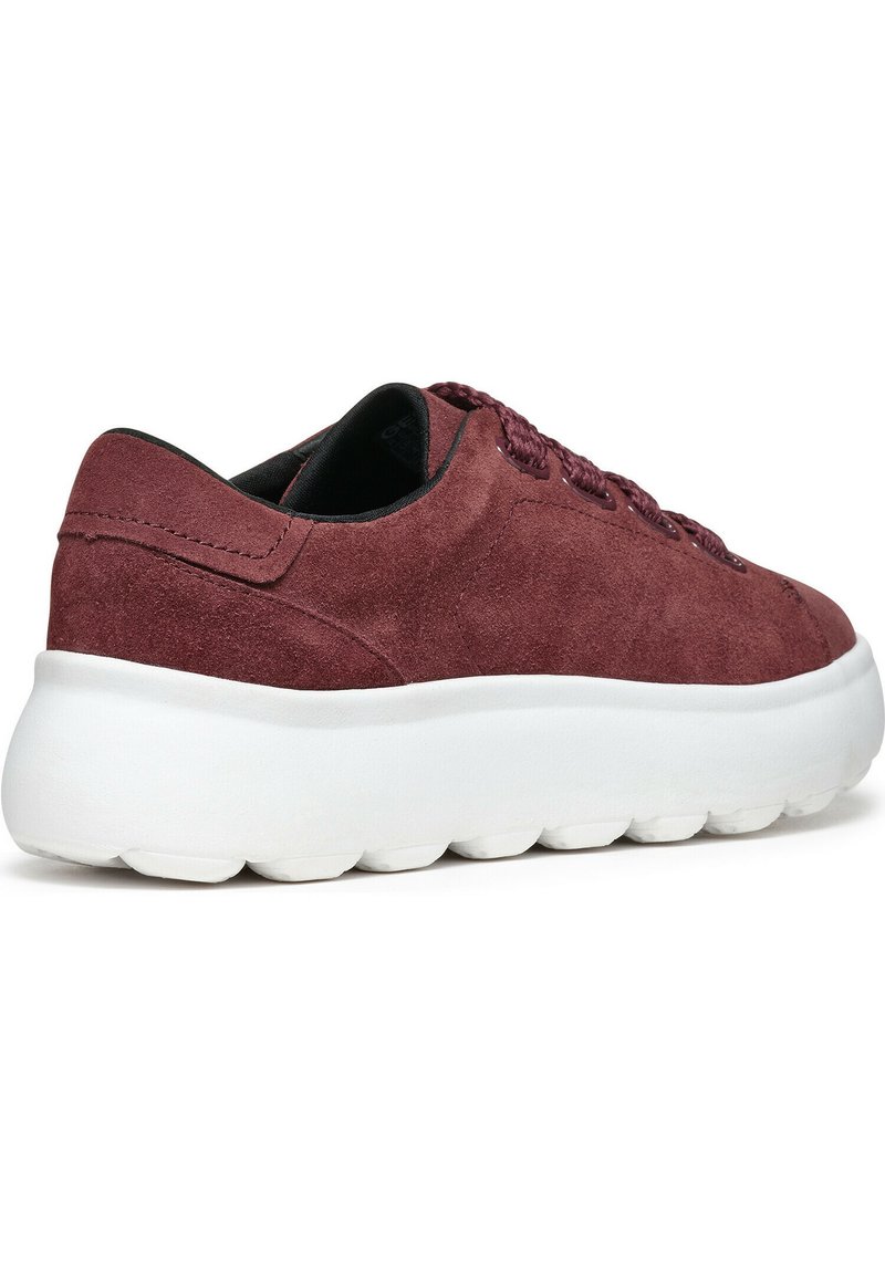 Bordeaux suède sneaker met een witte, dikke rubberen zool. Beschikt over ronde veters en een gladde stiksels op de bovenkant, met een laag profiel ontwerp.