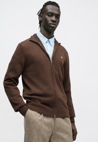 Brūns adīts rāvējslēdzēja džemperis ar vertikālu apkakli, ar ribveida aprocēm un apakšu. Valkāts virs gaiši zilas pogātas kreklas. Teksturēts audums.