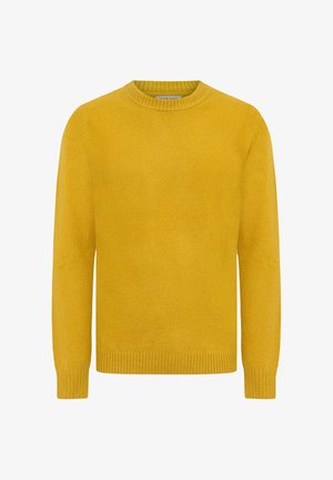 Gelber Strickpullover mit Rundhalsausschnitt, langen Ärmeln und gerippten Bündchen sowie Saum. Weiche Textur mit glatter Oberfläche.