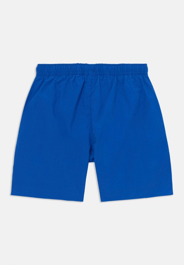 LARGE LOGO - Swimming shorts2